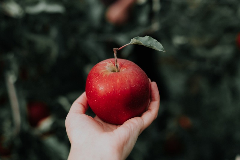 Una fotografía de una manzana en la mano de alguien - como si estuviera listo para lanzarla al aire